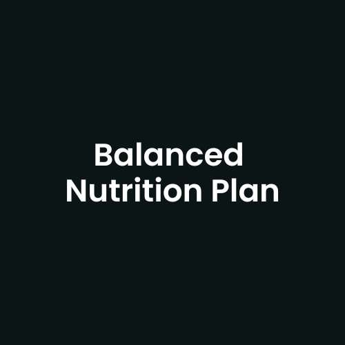 Balanced Nutrition Plan